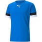 Miesten urheilupaita Puma teamRise Jersey M 704932 02, sininen hinta ja tiedot | Miesten T-paidat | hobbyhall.fi