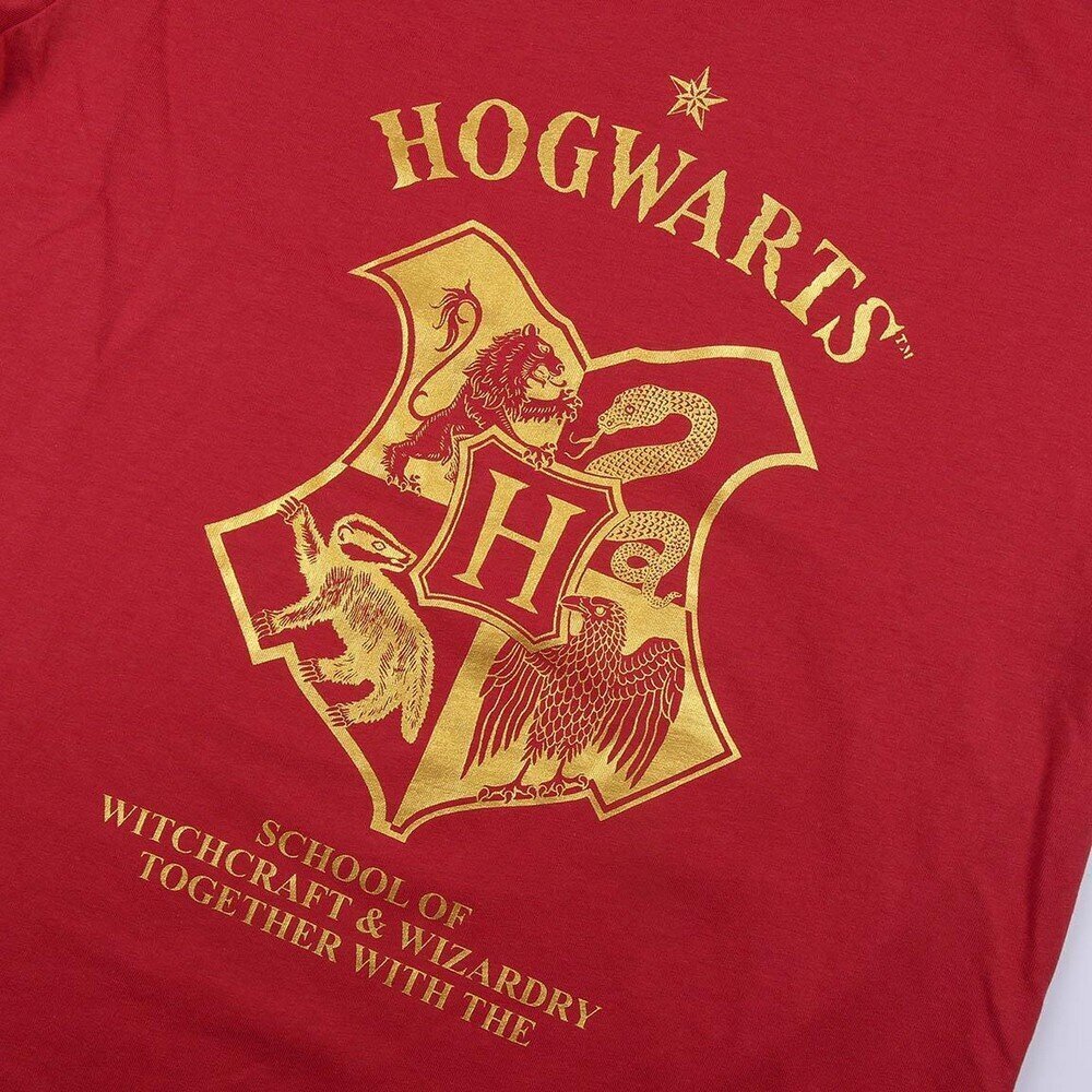 Naisten pyjamat Harry Potter S0730726 hinta ja tiedot | Yöasut ja pyjamat | hobbyhall.fi