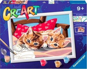 Maalaus numeroin CreArt Cats Ravensburger, 18x24cm hinta ja tiedot | Maalaa numeroiden mukaan | hobbyhall.fi