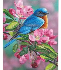 Maalaus numeroiden mukaan Bird Of Paradise, 40x50cm hinta ja tiedot | Maalaa numeroiden mukaan | hobbyhall.fi