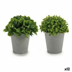 Koristekasvi 13 x 17 x 13 cm, 12 kpl. hinta ja tiedot | Keinotekoiset kukat | hobbyhall.fi