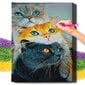 Diamond Mosaic 5D Diamond Painting Oh Art! Kolme kissaa, 20x30 cm hinta ja tiedot | Timanttimaalaukset | hobbyhall.fi