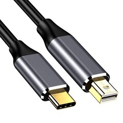 Reagle USB-C/mini DisplayPort, 1,8 m hinta ja tiedot | Reagle Televisiot ja lisätarvikkeet | hobbyhall.fi