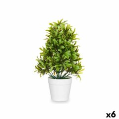 Koristekasvi Muovi 18 x 35 x 16 cm (6 kpl) hinta ja tiedot | Keinotekoiset kukat | hobbyhall.fi