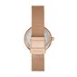 Skagen Amberline naisten rannekello 891257092 hinta ja tiedot | Naisten kellot | hobbyhall.fi