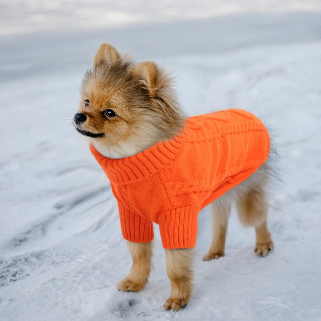 Koiran neulepusero, kaapelineule kylmälle säälle, klassiset paksut lämpimät vaatteet chihuahualle, bulldogille, mäyräkoiralle, mopsille, yorkielle (oranssi) hinta ja tiedot | Koiran vaatteet | hobbyhall.fi