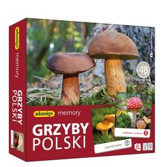 ADAMIGO Muistipeli Grzyby Polski 07912 hinta ja tiedot | Lautapelit ja älypelit | hobbyhall.fi