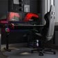 Desk Hero 8.7 RGB hinta ja tiedot | Tietokonepöydät ja työpöydät | hobbyhall.fi