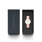 Daniel Wellington Petite 36 Rosewater naisten rannekello hinta ja tiedot | Naisten kellot | hobbyhall.fi