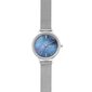 Skagen Anita naisten rannekello 890921693 hinta ja tiedot | Naisten kellot | hobbyhall.fi