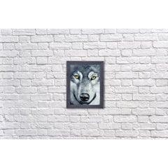 Timanttimosaiikkisetin. Wolf Look 15*20 cm DP2361 hinta ja tiedot | Timanttimaalaukset | hobbyhall.fi