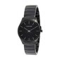 Calvin Klein Classic naisten rannekello 890799959 hinta ja tiedot | Naisten kellot | hobbyhall.fi