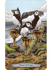 Tarot-kortit Animal Totem hinta ja tiedot | Esoteria | hobbyhall.fi