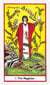 Tarot-kortit Herbal hinta ja tiedot | Esoteria | hobbyhall.fi