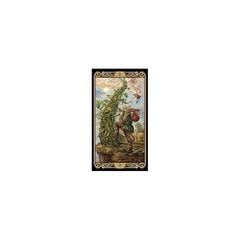 Tarot-kortit Cat hinta ja tiedot | Esoteria | hobbyhall.fi