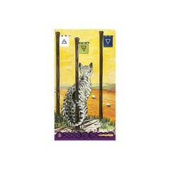 Tarot-kortit Pakanakissan tarot hinta ja tiedot | Esoteria | hobbyhall.fi