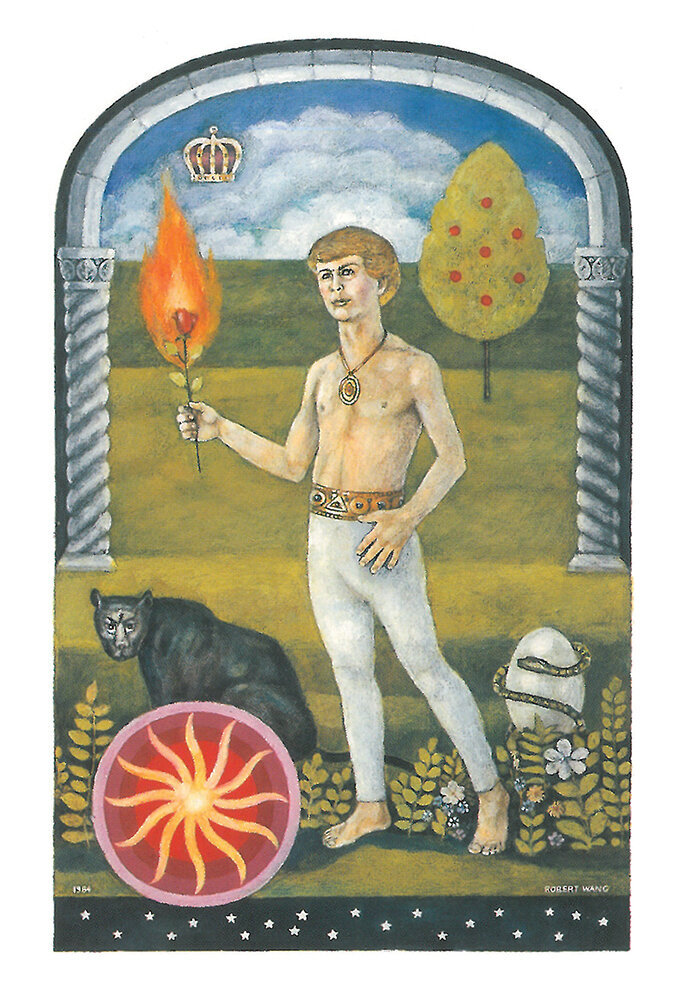 Tarot-kortit Jungian hinta ja tiedot | Esoteria | hobbyhall.fi