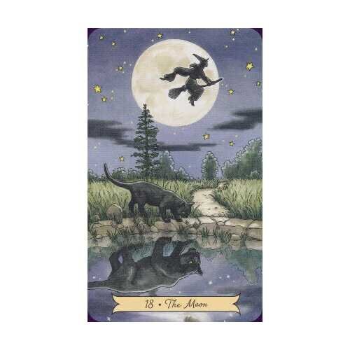 Tarot-kortit Everyday Witch hinta ja tiedot | Esoteria | hobbyhall.fi