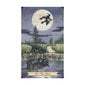 Tarot-kortit Everyday Witch hinta ja tiedot | Esoteria | hobbyhall.fi