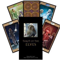 Tarot-kortit Tarot Haltioiden hinta ja tiedot | Esoteria | hobbyhall.fi