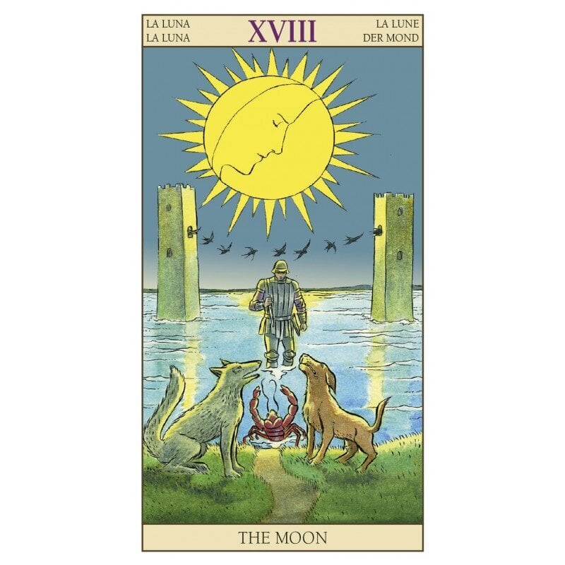 Tarot Cards New Vision Kit hinta ja tiedot | Esoteria | hobbyhall.fi