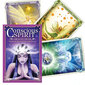 Tarot-kortit Conscious Spirit hinta ja tiedot | Esoteria | hobbyhall.fi