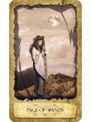 Mystic Dreamer Tarot -kortit hinta ja tiedot | Esoteria | hobbyhall.fi