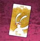 Tarot-kortit Bix hinta ja tiedot | Esoteria | hobbyhall.fi