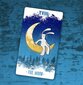 Tarot-kortit Bix hinta ja tiedot | Esoteria | hobbyhall.fi