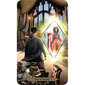 Tarot-korttien velhot hinta ja tiedot | Esoteria | hobbyhall.fi