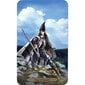 Tarot-korttien velhot hinta ja tiedot | Esoteria | hobbyhall.fi