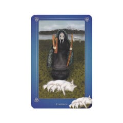 Avalonian Oracle Tarot -kortit hinta ja tiedot | Esoteria | hobbyhall.fi