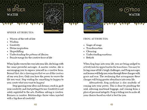 Wild Elemental Oracle Tarot -kortit hinta ja tiedot | Esoteria | hobbyhall.fi