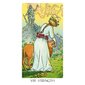 Tarot-kortit Tarot of the New Vision Mini hinta ja tiedot | Esoteria | hobbyhall.fi