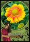 Tarot-kortit Flower Magic Oracle hinta ja tiedot | Esoteria | hobbyhall.fi