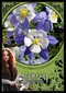 Tarot-kortit Flower Magic Oracle hinta ja tiedot | Esoteria | hobbyhall.fi