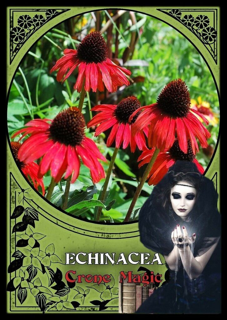 Tarot-kortit Flower Magic Oracle hinta ja tiedot | Esoteria | hobbyhall.fi