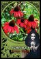 Tarot-kortit Flower Magic Oracle hinta ja tiedot | Esoteria | hobbyhall.fi