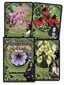 Tarot-kortit Flower Magic Oracle hinta ja tiedot | Esoteria | hobbyhall.fi