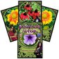 Tarot-kortit Flower Magic Oracle hinta ja tiedot | Esoteria | hobbyhall.fi