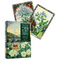 Druid Plant Oracle Tarot -kortit hinta ja tiedot | Esoteria | hobbyhall.fi