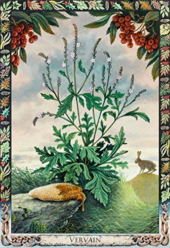 Druid Plant Oracle Tarot -kortit hinta ja tiedot | Esoteria | hobbyhall.fi