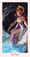 Tarot-kortit Heavenly Bloom hinta ja tiedot | Esoteria | hobbyhall.fi