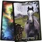 Animal Guidance & Aspects Oracle -kortit hinta ja tiedot | Esoteria | hobbyhall.fi