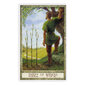 Druidcraft Tarot-kortit hinta ja tiedot | Esoteria | hobbyhall.fi