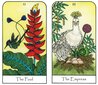 Nature Spirit Tarot-kortti- ja kirjasetti hinta ja tiedot | Esoteria | hobbyhall.fi