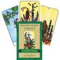 Nature Spirit Tarot-kortti- ja kirjasetti hinta ja tiedot | Esoteria | hobbyhall.fi