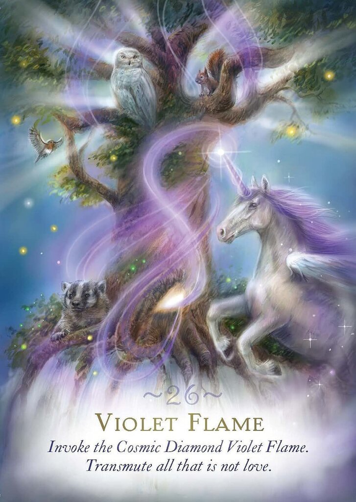 Tarot-kortit Magic of Unicorns Oracle Hay House hinta ja tiedot | Esoteria | hobbyhall.fi