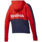 Naisten huppari Reebok Te Linear Logo Ft W FT0901 hinta ja tiedot | Naisten hupparit, collegepaidat ja villapaidat | hobbyhall.fi