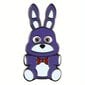 Pin lapsille Bunny 35748 hinta ja tiedot | Lasten asusteet | hobbyhall.fi